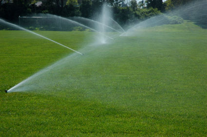 Sprinklers running onto green grass